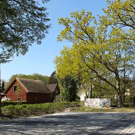 Appartement Buchentraum 14